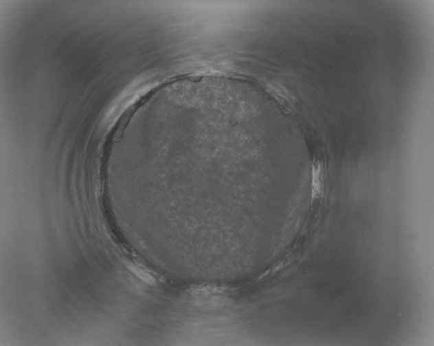 X0000077970291200611101643