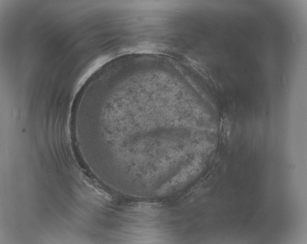 X0000077970292200611101643
