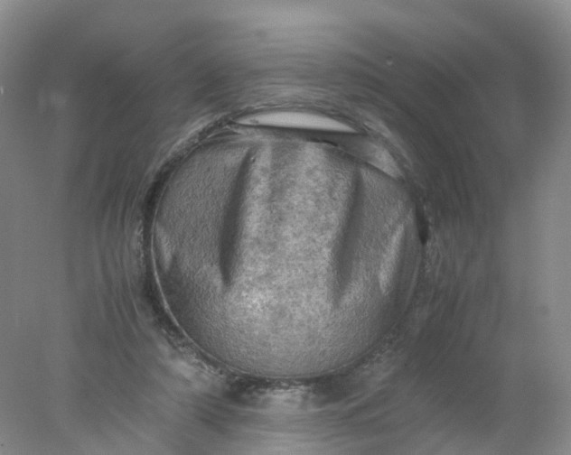 X0000077970306200611101643