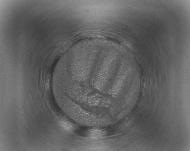 X0000077970315200611101643