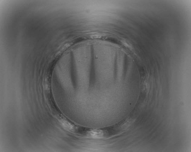 X0000077970317200611101643