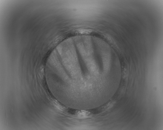 X0000077970321200611101643