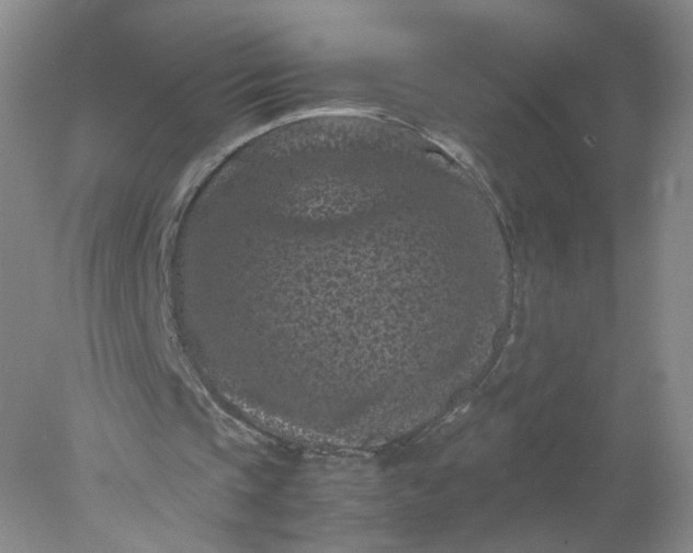 X0000077970337200611101642