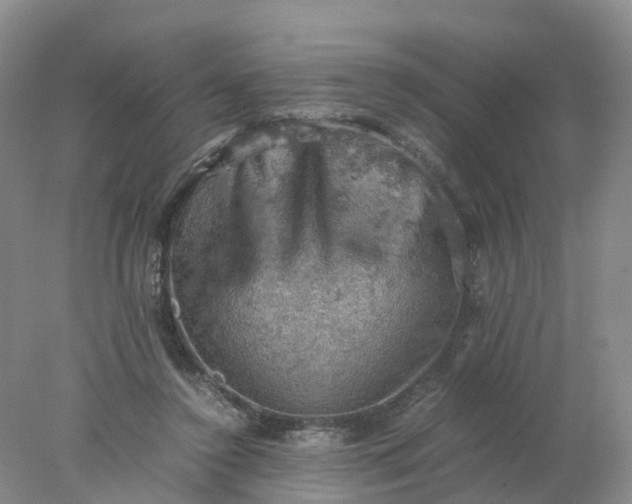 X0000077970356200611101642