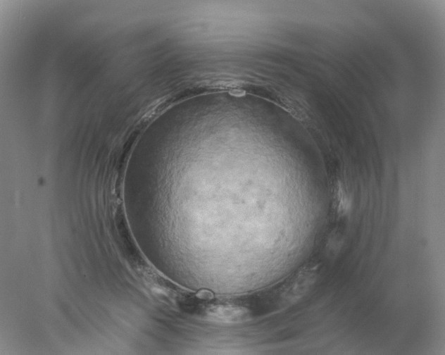X0000077970360200611101642