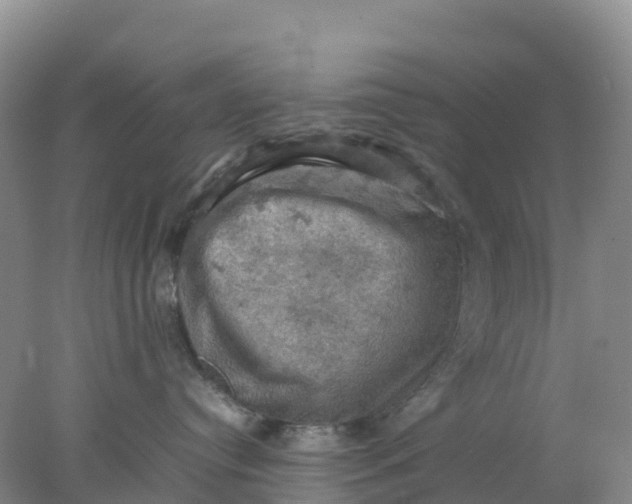 X0000077970384200611101643