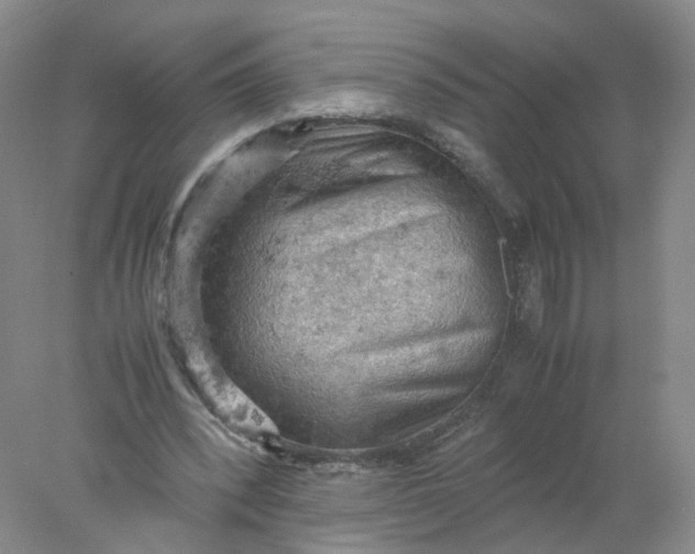 X0000077970392200611101642