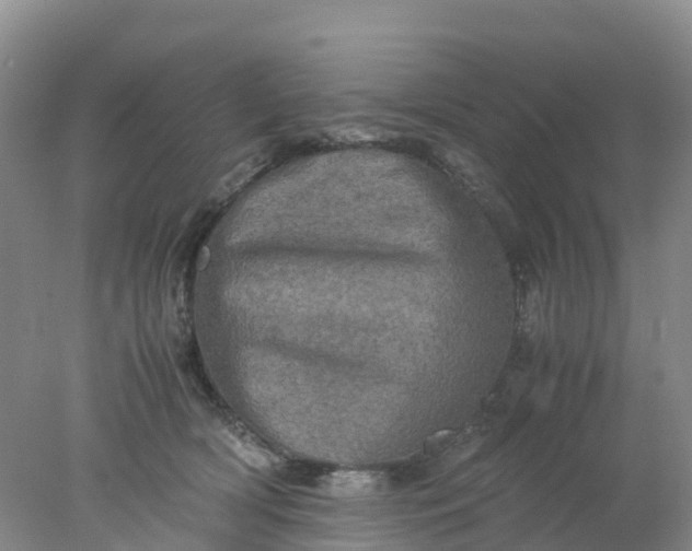 X0000077970418200611101641