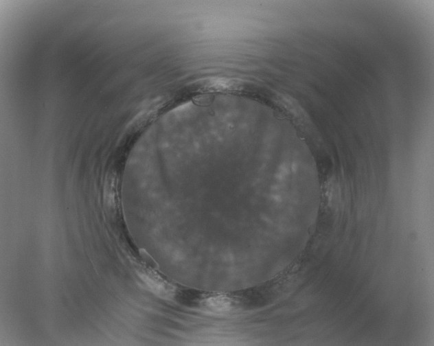 X0000077970423200611101641