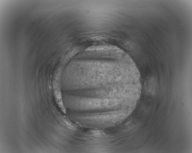 X0000077970424200611101641
