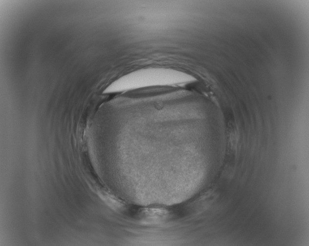 X0000077970429200611101641