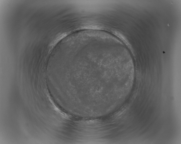 X0000077970433200611101640