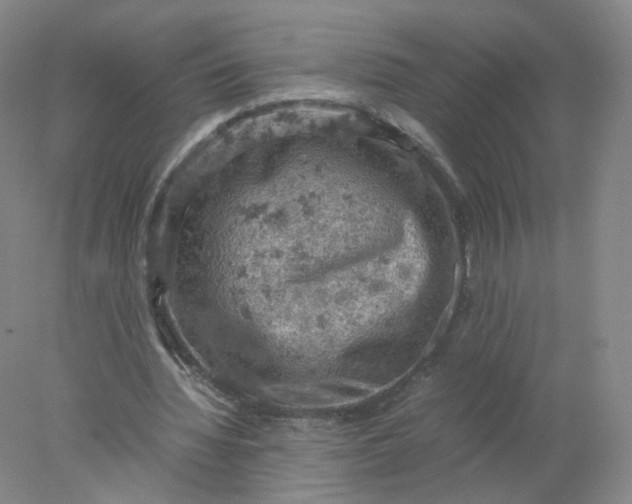 X0000077970436200611101640