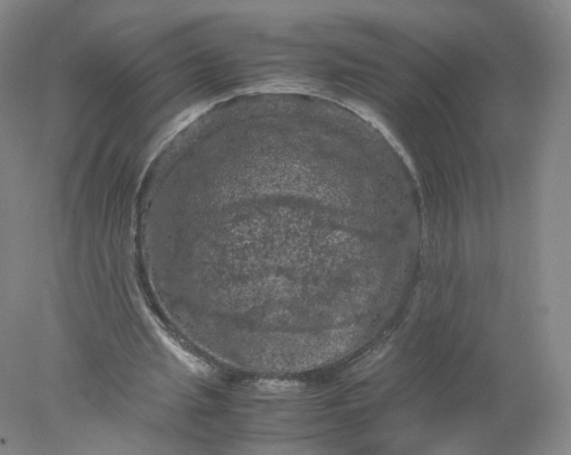 X0000077970437200611101640