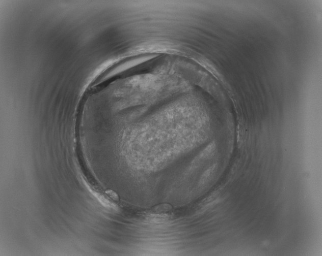 X0000077970438200611101640