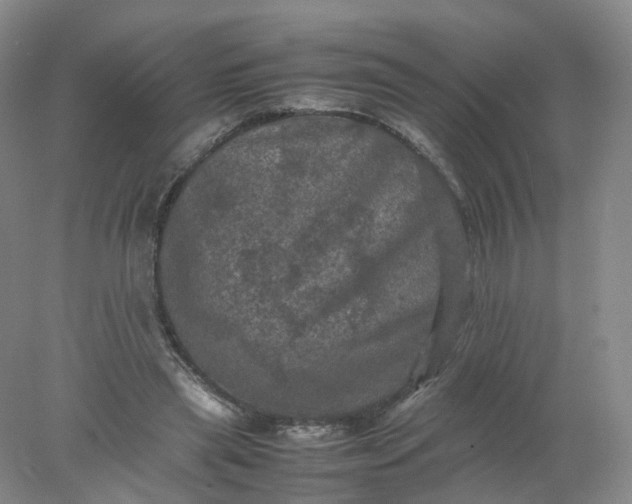 X0000077970445200611101640