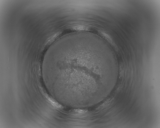 X0000077970453200611101640