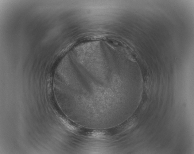 X0000077970462200611101641