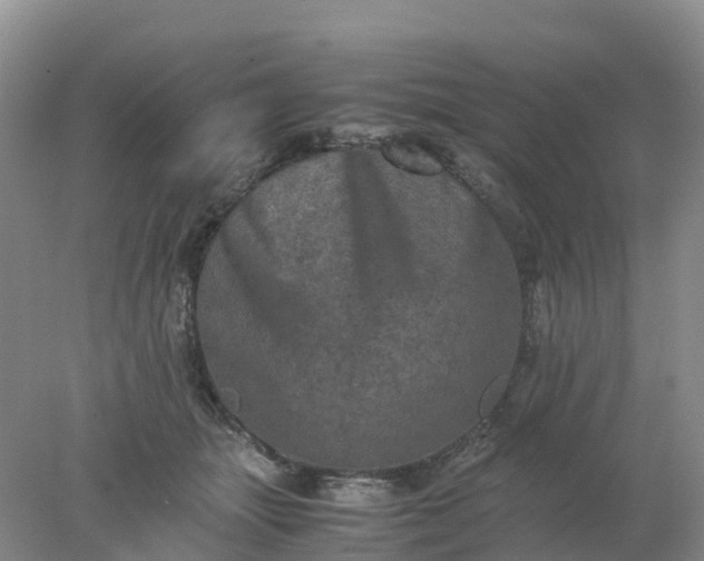 X0000077970463200611101641