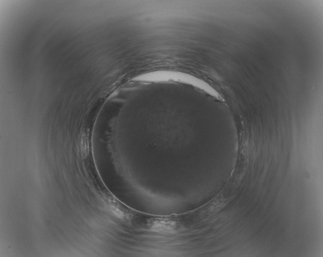 X0000077970471200611101641