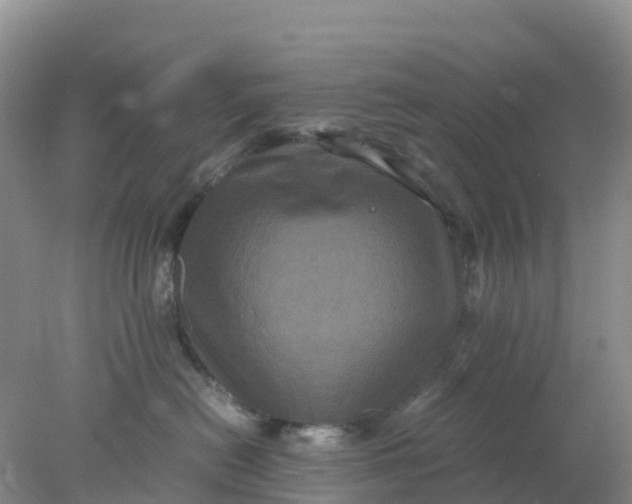 X0000077970478200611101641