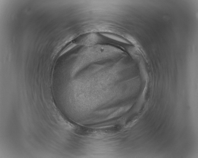 X0000077970481200611101640