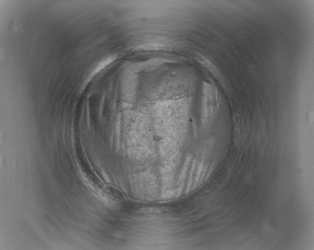 X0000077970482200611101640