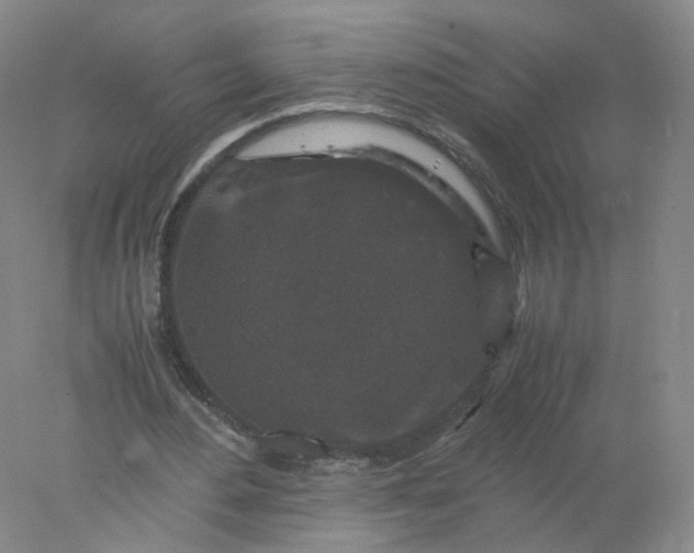 X0000077970484200611101640