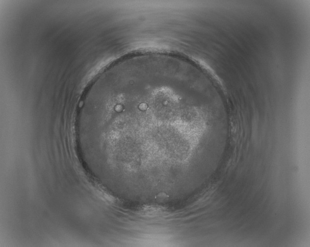 X0000077970487200611101640