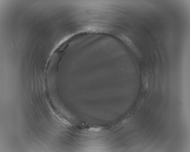 X0000077970488200611101640