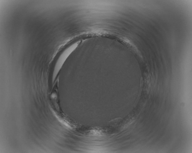 X0000077970496200611101640