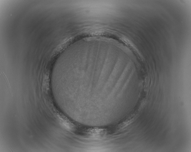 X0000077970497200611101640