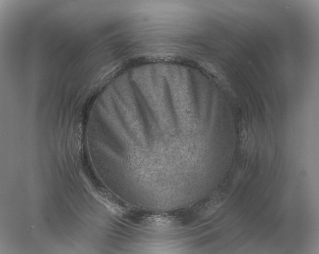 X0000077970498200611101640