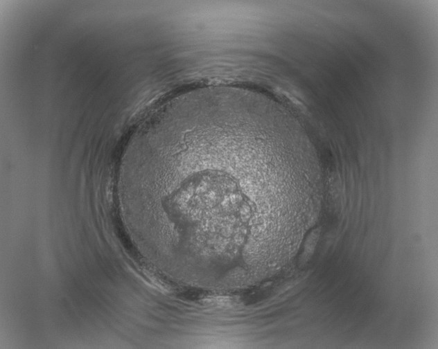 X0000077970499200611101640