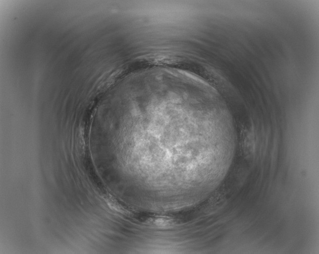 X0000077970506200611101640