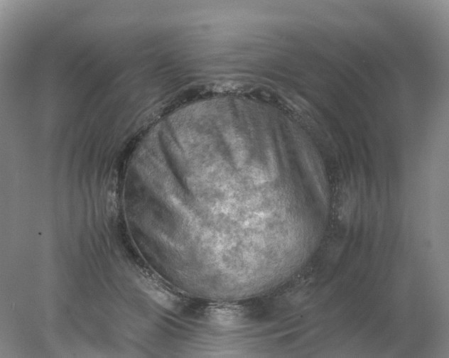 X0000077970510200611101640