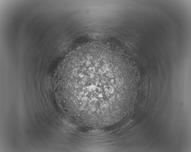 X0000077970511200611101640