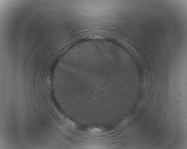 X0000077970513200611101640