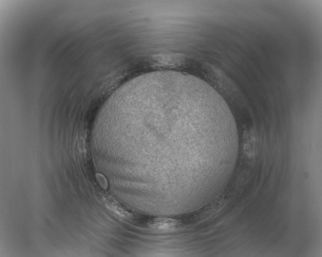 X0000077970514200611101640