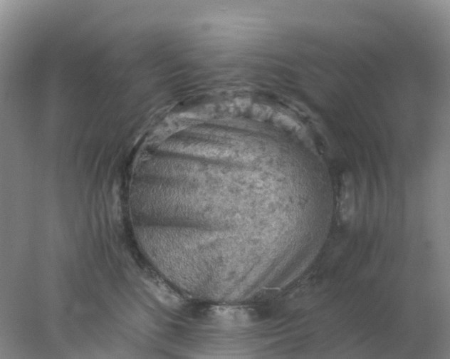 X0000077970520200611101639