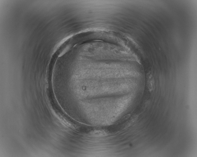 X0000077970536200611101639