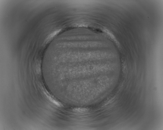 X0000077970537200611101639