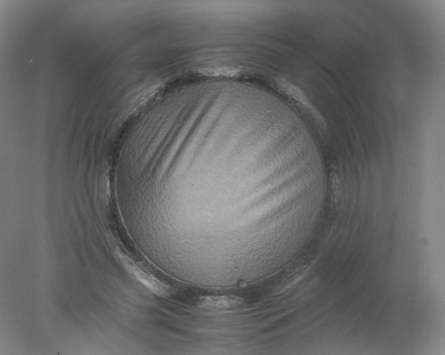 X0000077970541200611101639