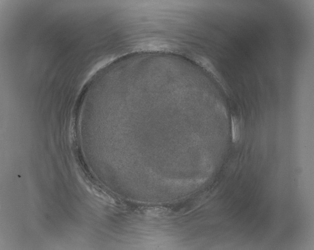 X0000077970579200611101638