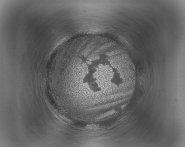 X0000077970591200611101638