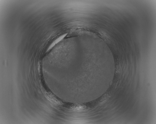 X0000077970646200611101637