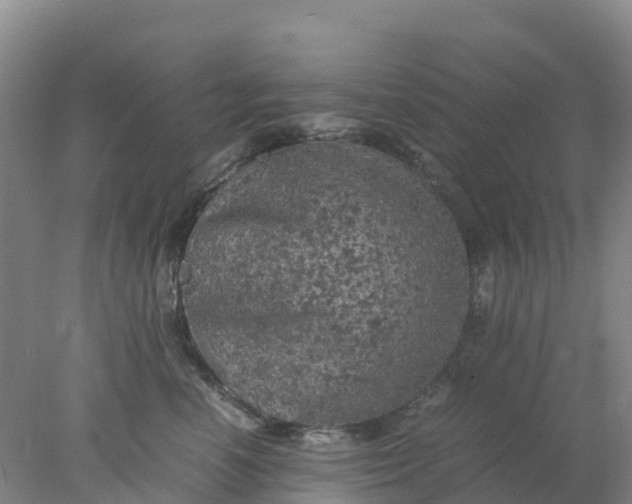 X0000077970666200611101638