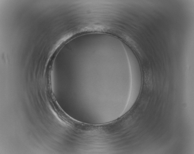 X0000077970674200611101637