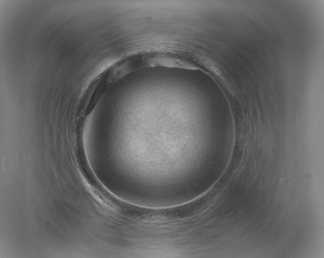 X0000077970677200611101637
