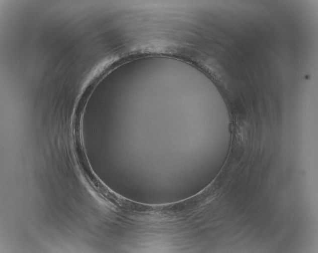 X0000077970678200611101637